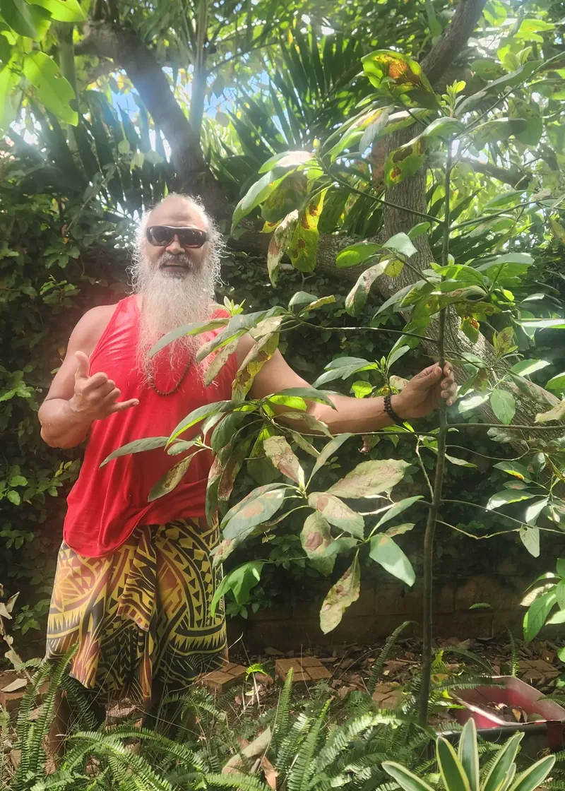 CH³ founder Branch Nautu standing beside an approximately seven-foot avocado plant from the first R.I.C.E. composting project.